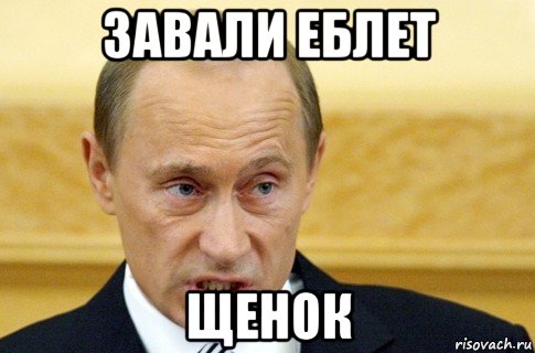 завали еблет щенок, Мем путин