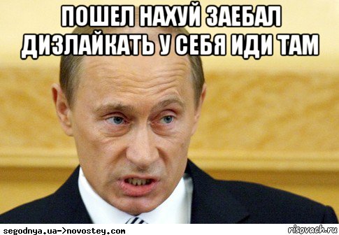 пошел нахуй заебал дизлайкать у себя иди там , Мем  Путин