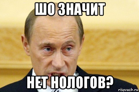 шо значит нет нологов?, Мем путин