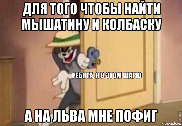 для того чтобы найти мышатину и колбаску а на льва мне пофиг, Мем    Ребята я в этом шарю