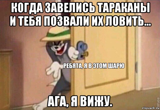 когда завелись тараканы и тебя позвали их ловить... ага, я вижу., Мем    Ребята я в этом шарю