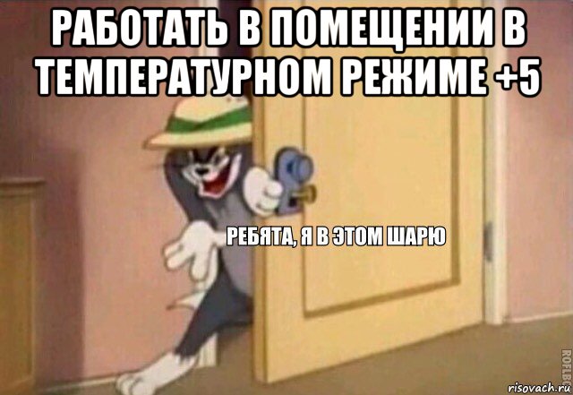 работать в помещении в температурном режиме +5 , Мем    Ребята я в этом шарю