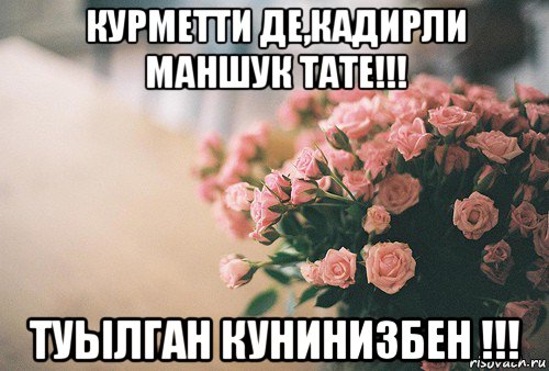 курметти де,кадирли маншук тате!!! туылган кунинизбен !!!