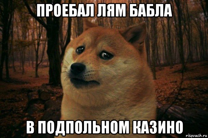 проебал лям бабла в подпольном казино, Мем SAD DOGE