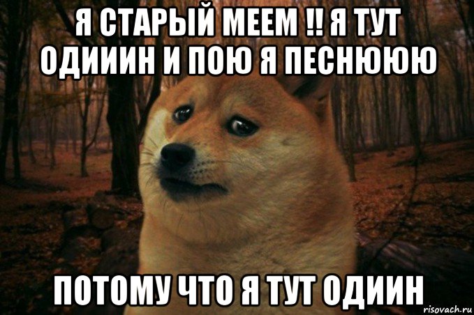 я старый меем !! я тут одииин и пою я песнююю потому что я тут одиин, Мем SAD DOGE