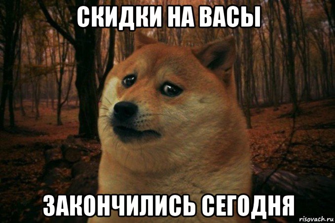 скидки на васы закончились сегодня, Мем SAD DOGE