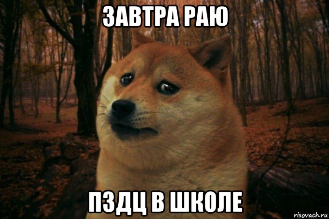 завтра раю пздц в школе, Мем SAD DOGE