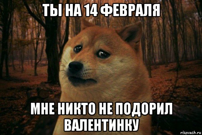 ты на 14 февраля мне никто не подорил валентинку, Мем SAD DOGE