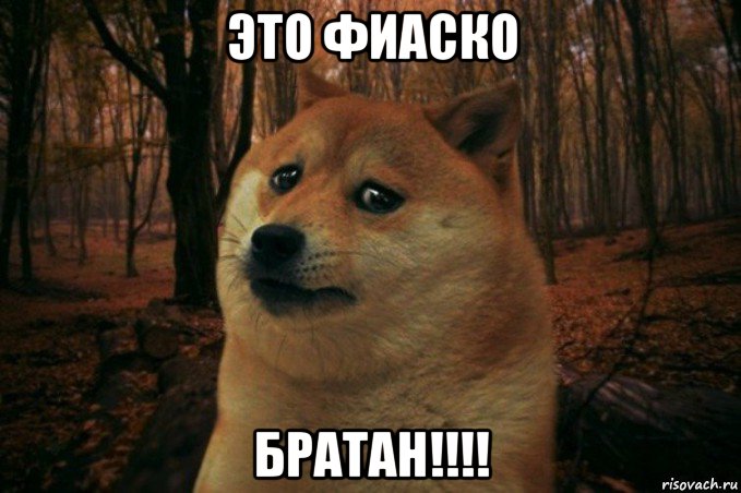 это фиаско братан!!!!, Мем SAD DOGE