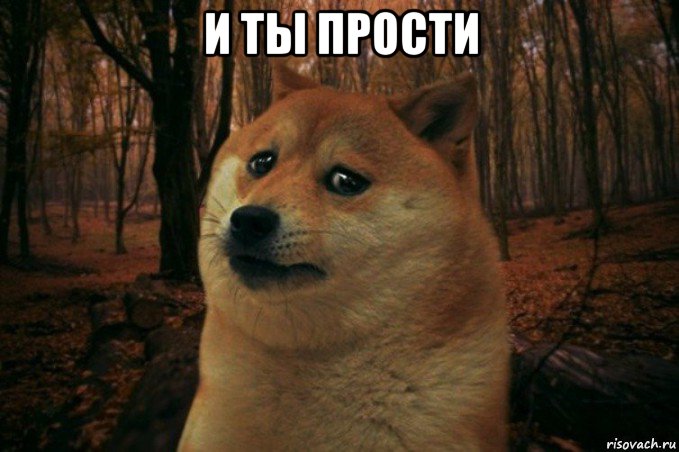 и ты прости , Мем SAD DOGE