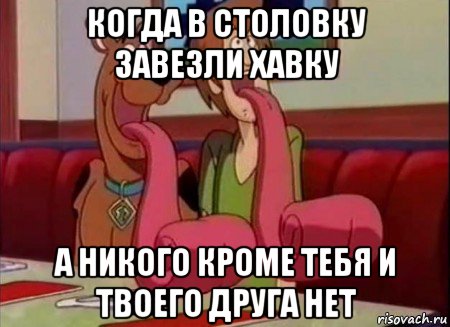 когда в столовку завезли хавку а никого кроме тебя и твоего друга нет, Мем Скуби ду