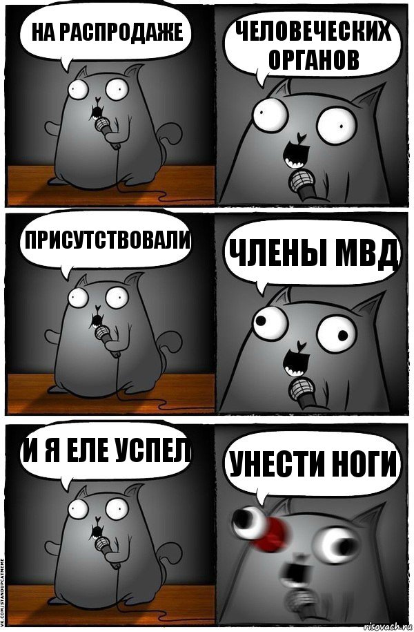 на распродаже человеческих органов присутствовали члены мвд и я еле успел унести ноги, Комикс  Стендап-кот