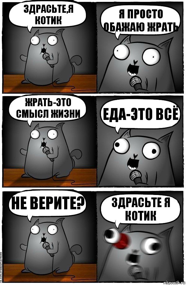 Здрасьте,я котик Я просто обажаю жрать Жрать-это смысл жизни Еда-это всё Не верите? Здрасьте я котик