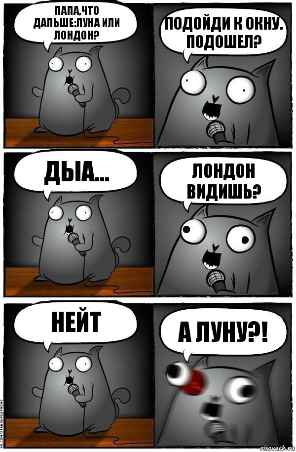 Папа,что дальше:луна или Лондон? Подойди к окну. Подошел? Дыа... Лондон видишь? Нейт А луну?!, Комикс  Стендап-кот