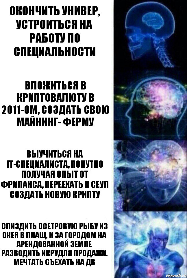 Окончить универ, устроиться на работу по специальности Вложиться в криптовалюту в 2011-ом, создать свою майнинг- ферму Выучиться на IT-специалиста, попутно получая опыт от фриланса, переехать в Сеул создать новую крипту Спиздить осетровую рыбу из Окея в плащ, и за городом на арендованной земле разводить икрудля продажи. Мечтать съехать на ДВ, Комикс  Сверхразум