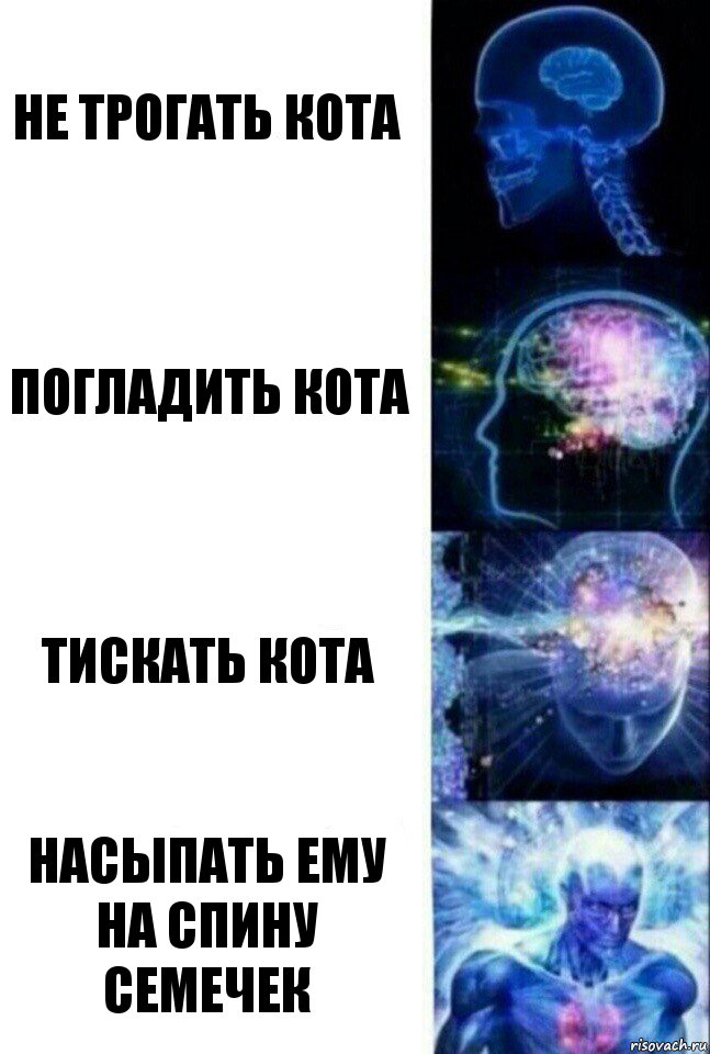 Не трогать кота Погладить кота Тискать кота Насыпать ему на спину семечек, Комикс  Сверхразум