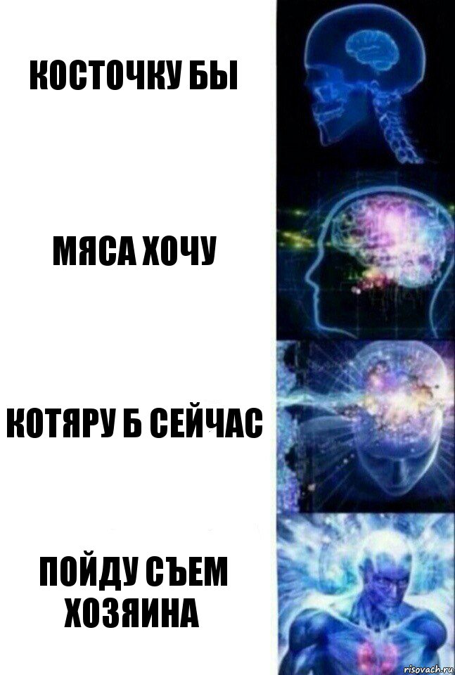 косточку бы мяса хочу котяру б сейчас пойду съем хозяина, Комикс  Сверхразум