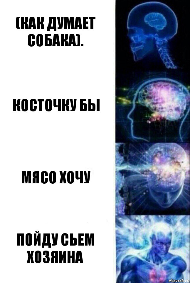 (Как думает собака). Косточку бы Мясо хочу Пойду сьем хозяина, Комикс  Сверхразум