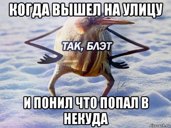 когда вышел на улицу и понил что попал в некуда, Мем  Так блэт птица с руками