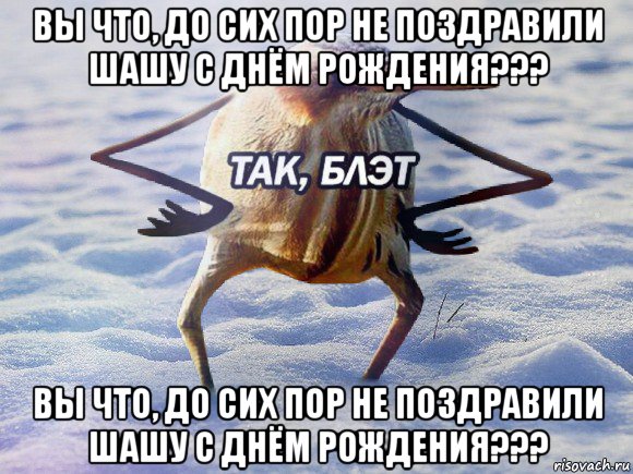 вы что, до сих пор не поздравили шашу с днём рождения??? вы что, до сих пор не поздравили шашу с днём рождения???, Мем  Так блэт птица с руками