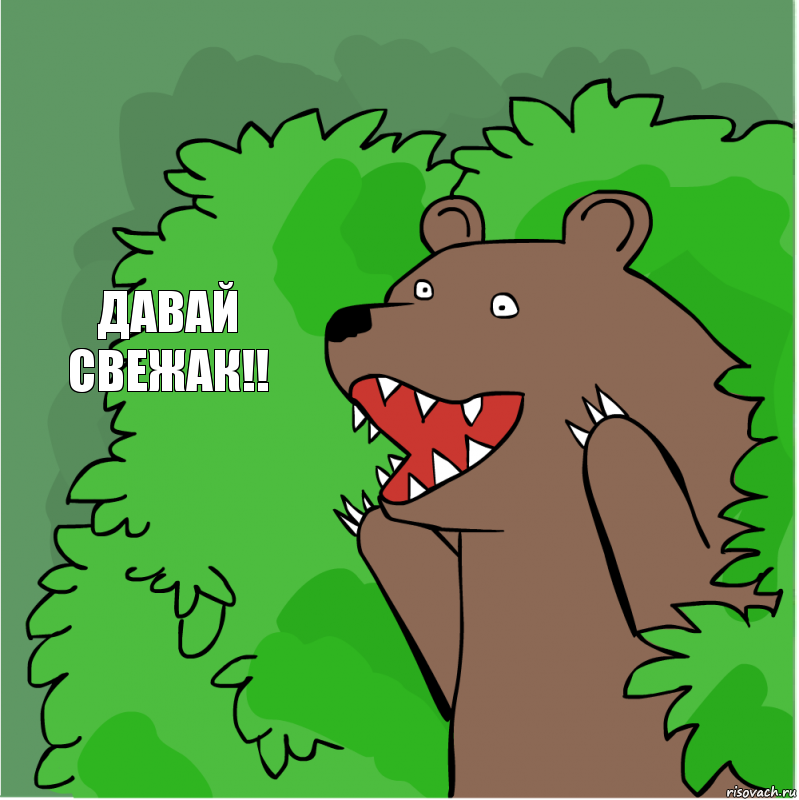 ДАВАЙ СВЕЖАК!!