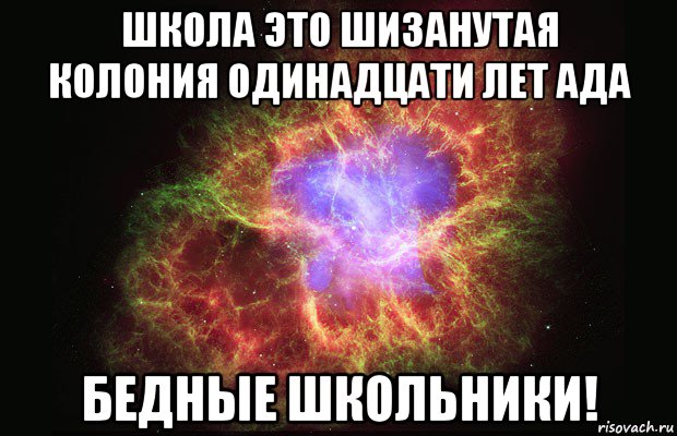 школа это шизанутая колония одинадцати лет ада бедные школьники!, Мем Туманность