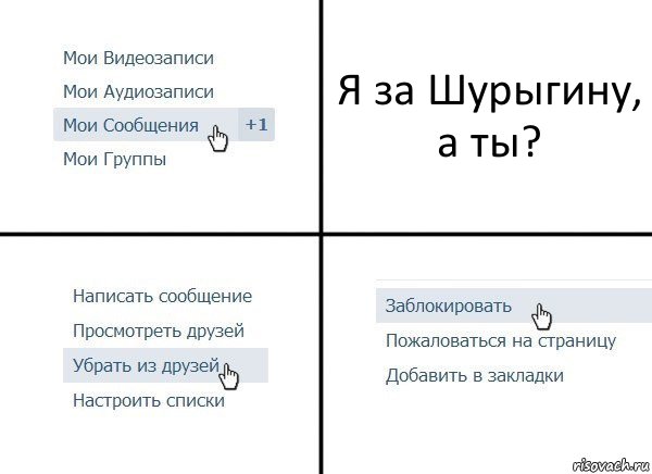 Я за Шурыгину, а ты?, Комикс  Удалить из друзей