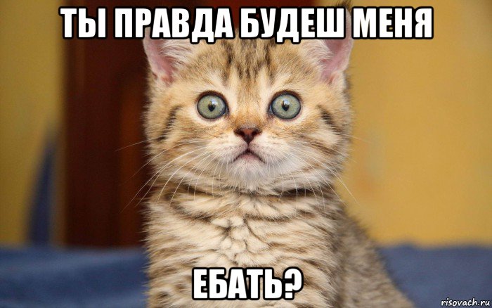 ты правда будеш меня ебать?