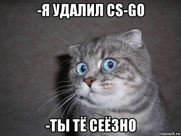 -я удалил cs-go -ты тё сеёзно, Мем  удивлённый кот