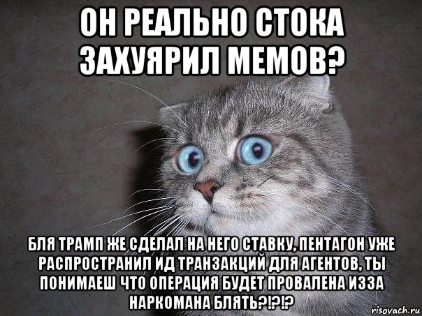 он реально стока захуярил мемов? бля трамп же сделал на него ставку, пентагон уже распространил ид транзакций для агентов, ты понимаеш что операция будет провалена изза наркомана блять?!?!?, Мем  удивлённый кот