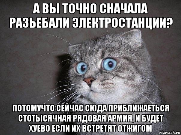 а вы точно сначала разьебали электростанции? потомучто сейчас сюда приближаеться стотысячная рядовая армия, и будет хуево если их встретят отжигом, Мем  удивлённый кот