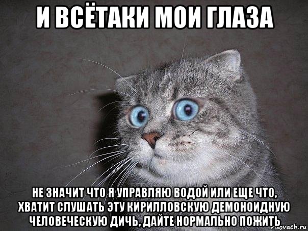 и всётаки мои глаза не значит что я управляю водой или еще что, хватит слушать эту кирилловскую демоноидную человеческую дичь, дайте нормально пожить, Мем  удивлённый кот