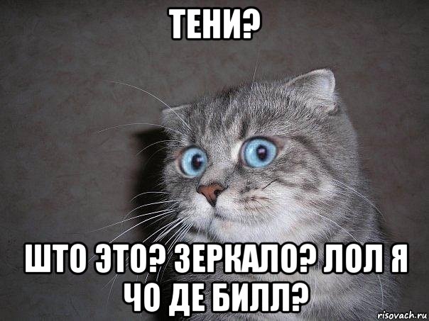 тени? што это? зеркало? лол я чо де билл?, Мем  удивлённый кот