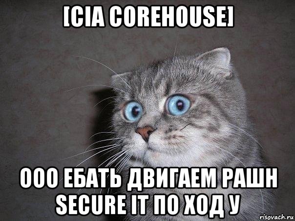 [cia corehouse] ооо ебать двигаем рашн secure it по ход у, Мем  удивлённый кот