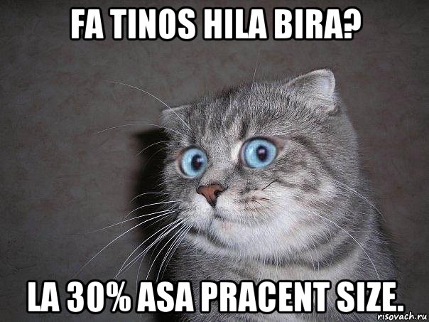 fa tinos hila bira? la 30% asa pracent size., Мем  удивлённый кот