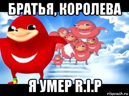 братья, королева я умер r.i.p