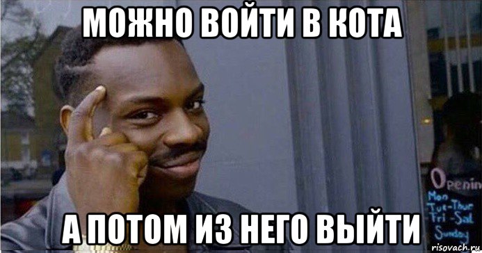 можно войти в кота а потом из него выйти, Мем Умный Негр