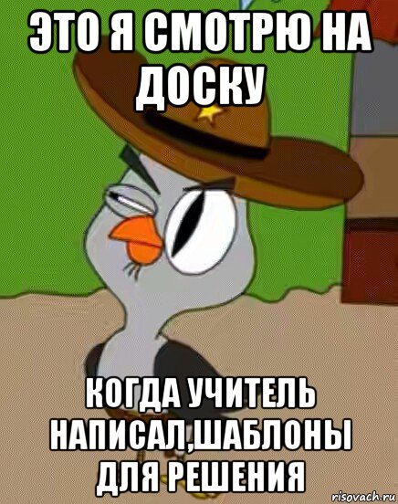 это я смотрю на доску когда учитель написал,шаблоны для решения, Мем    Упоротая сова