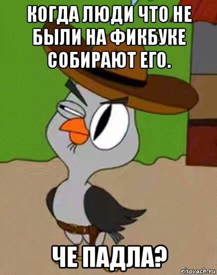 когда люди что не были на фикбуке собирают его. че падла?, Мем    Упоротая сова