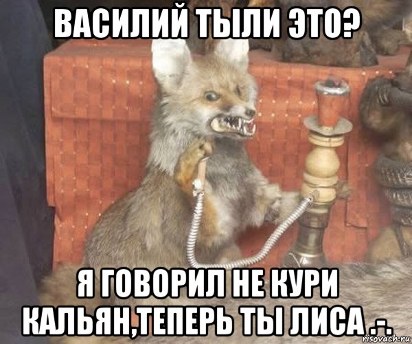 василий тыли это? я говорил не кури кальян,теперь ты лиса .-.