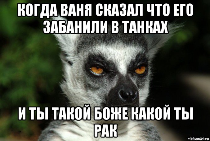 когда ваня сказал что его забанили в танках и ты такой боже какой ты рак, Мем   Я збагоен