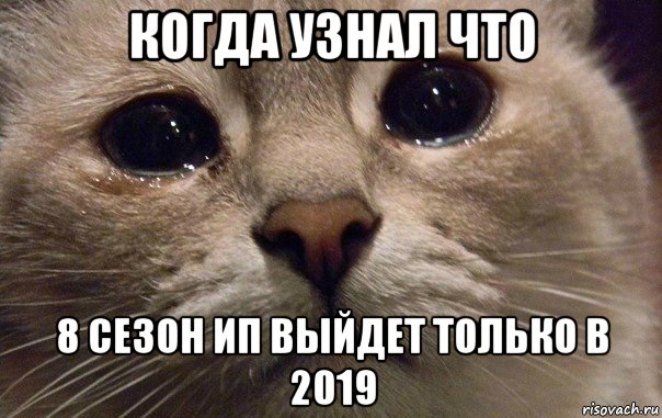 когда узнал что 8 сезон ип выйдет только в 2019, Мем   В мире грустит один котик