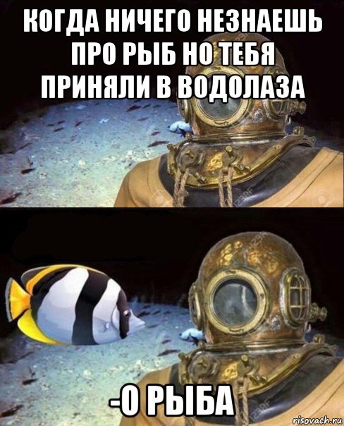 когда ничего незнаешь про рыб но тебя приняли в водолаза -о рыба, Мем   Высокое давление