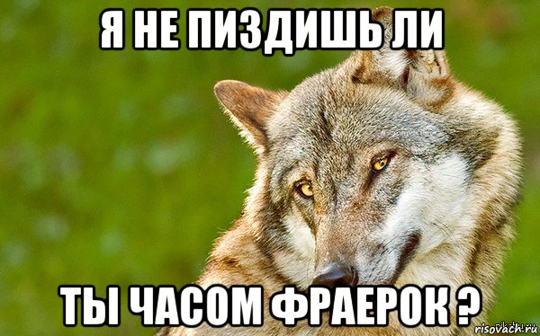 я не пиздишь ли ты часом фраерок ?, Мем   Volf