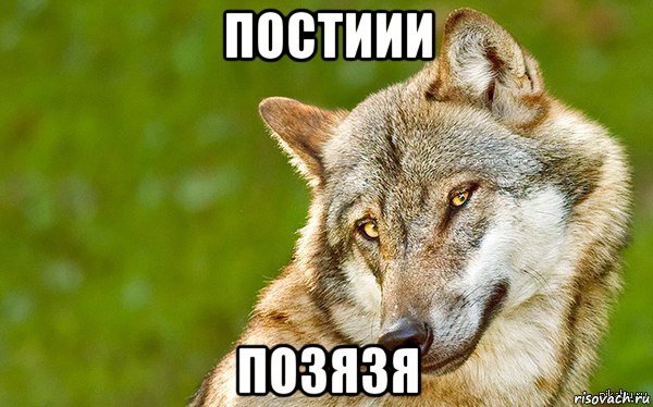 постиии позязя, Мем   Volf