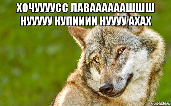 хочуууусс лаваааааашшш нууууу купииии нуууу ахах , Мем   Volf