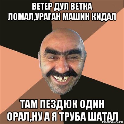 ветер дул ветка ломал,ураган машин кидал там пездюк один орал,ну а я труба шатал, Мем Я твой дом труба шатал