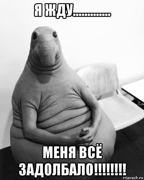 я жду............. меня всё задолбало!!!!!!!!, Мем  Ждун