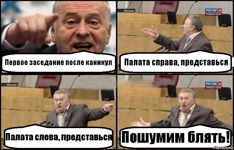 Первое заседание после каникул Палата справа, представься Палата слева, представься Пошумим блять!, Комикс Жириновский