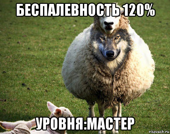 беспалевность 120% уровня:мастер, Мем Злая Овца